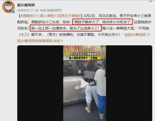 保定最新爆料事件视频,视频揭露惊人真相,事件引发社会关注